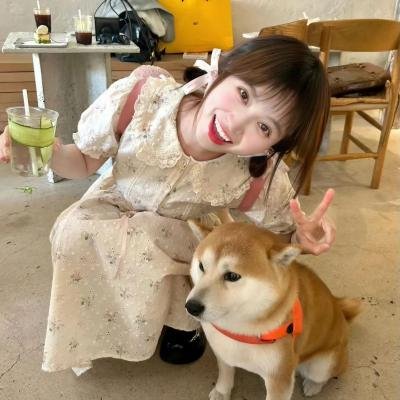八角笼中